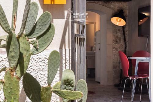 Apartamento Casa Nostra