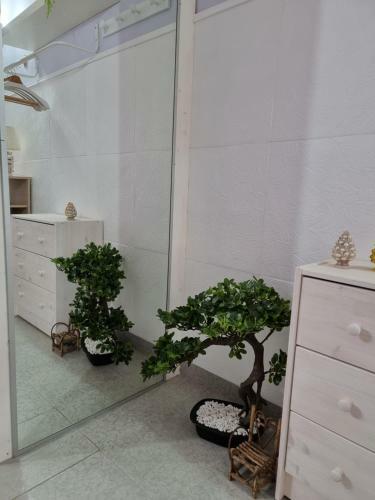 Apartamento La Maiolica Open Space
