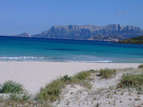 Apartamento Casa Vacanza Pittulongu