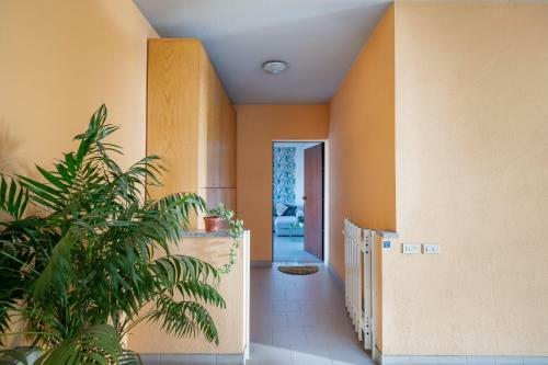 Apartamento La Casa Di Ellen