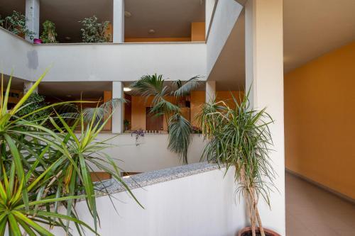 Apartamento La Casa Di Ellen