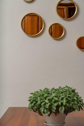 Apartamento La Casa Di Ellen