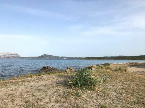 Apartamento Olbia House