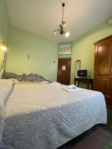 Hostal Salfera5