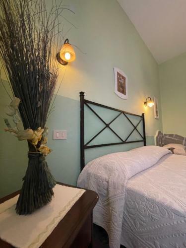 Hostal Salfera5