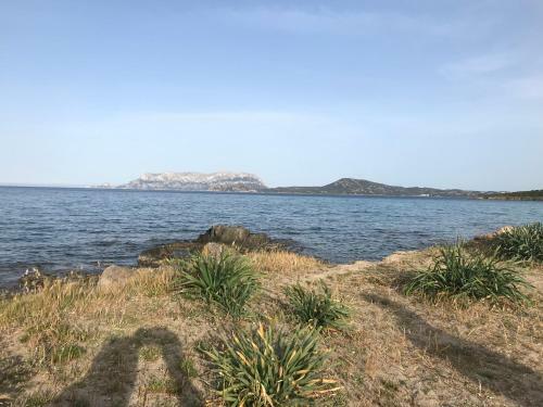 Apartamento Gli Oleandri