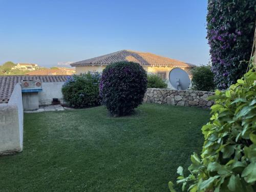Apartamento Belvedere 27 Lt 1
