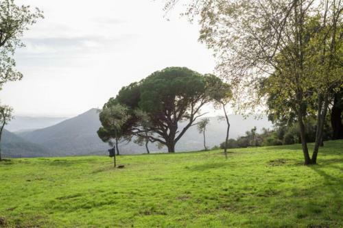 Finca Montemateo