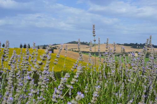 Bed & Breakfast La Poiana