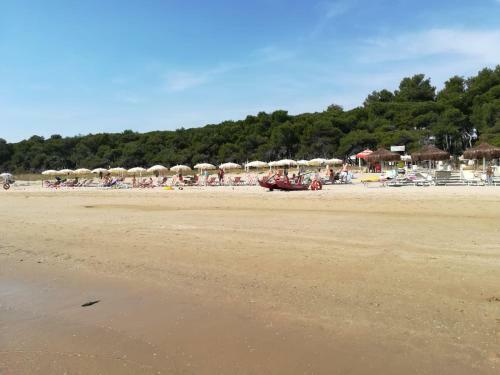Apartamento Micaene