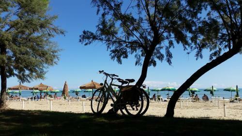 Apartamento Micaene