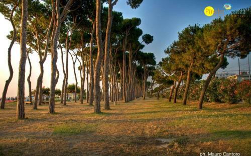 Apartamento Malib� 5 Pineto Vacanza
