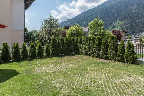 Apartamento Appartamento Adamello Presanella