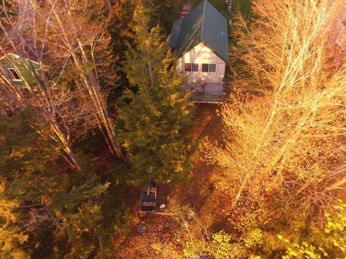 Coleman's Cabin