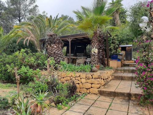 El Paraiso De Los Perros
