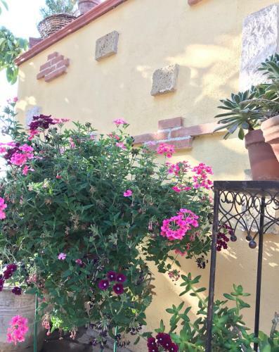 I Lecci B&B
