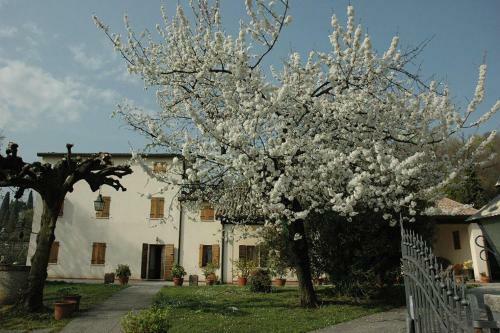 Hotel Albergo Volpara