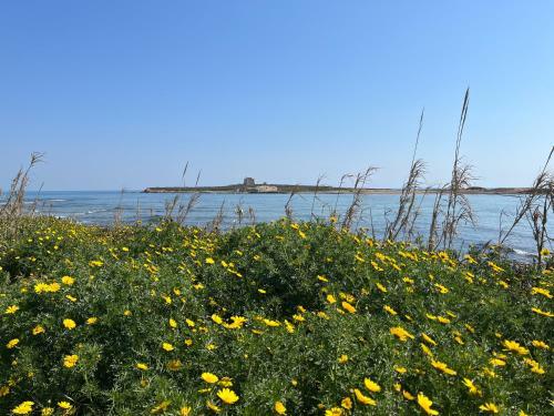 Apartamento Casa Vacanze Portopalo67