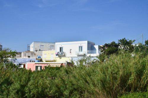 Apartamento Solemareponza La Perla Marina