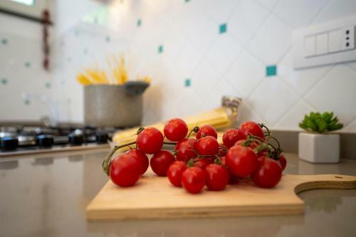 Apartamento Casa Mam�