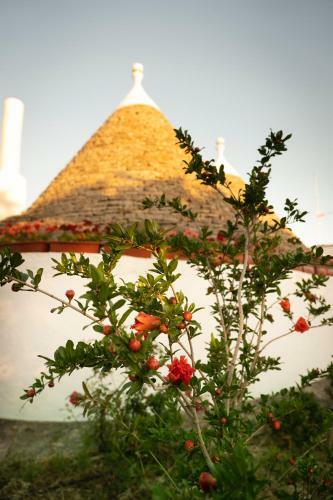 Trullo Ulivi