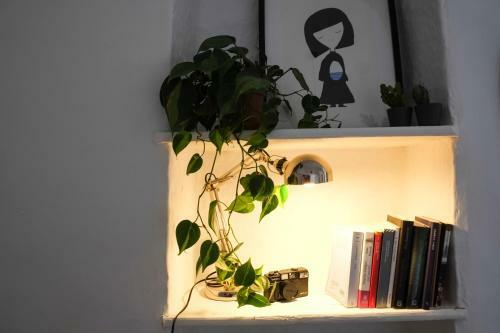 Apartamento Calmapianta Home For Green Lovers