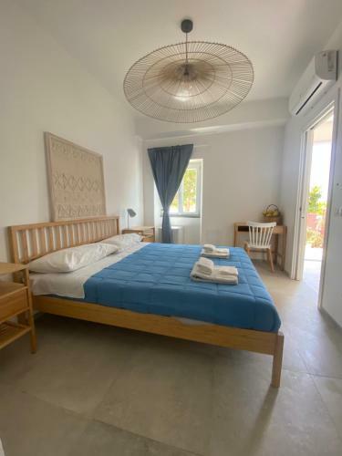 Hostal Teresa Madre