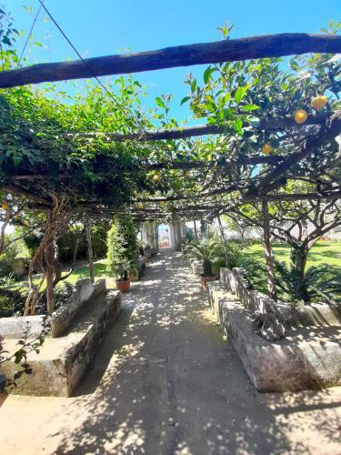 Apartamento O' Suppigno - Historic House