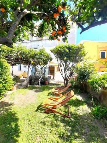 Apartamento O' Suppigno - Historic House