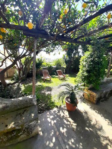 Apartamento O' Suppigno - Historic House