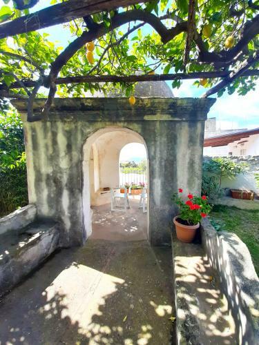 Apartamento O' Suppigno - Historic House