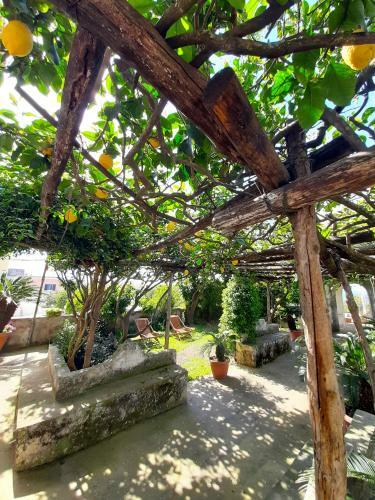 Apartamento O' Suppigno - Historic House