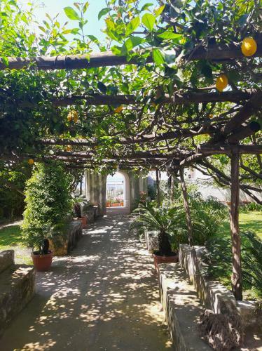 Apartamento O' Suppigno - Historic House