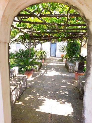 Apartamento O' Suppigno - Historic House