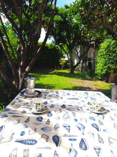 Apartamento O' Suppigno - Historic House