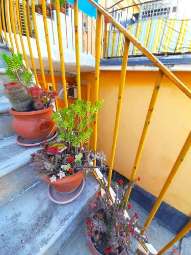 Apartamento Casa Anna - Chiaiolella Beach