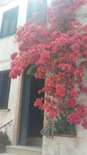 Happy House Corricella