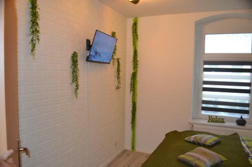 Apartment Editha Wohnung Im Eg Zentrumsnah