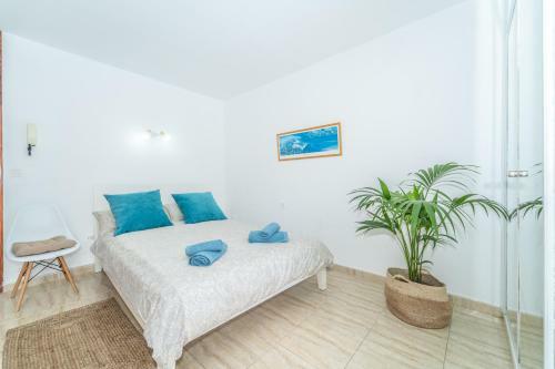 Seeside Apartment