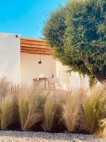 Casa Mare Eco Retreat