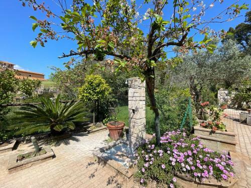 Villa Appartamenti La Spiaggia