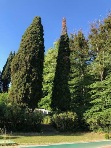 Tuscia Castle Apartments
