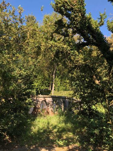Tuscia Castle Apartments