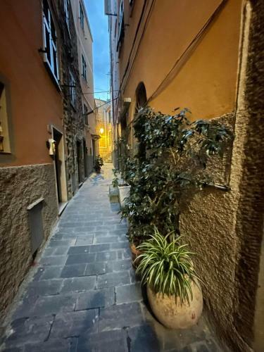 Apartamento C� Dei P�i - Loft Il Timone