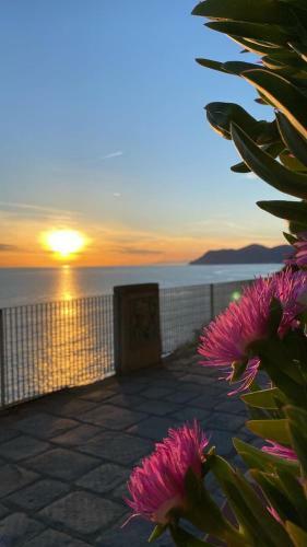 Apartamento C� Dei P�i - Loft Il Timone