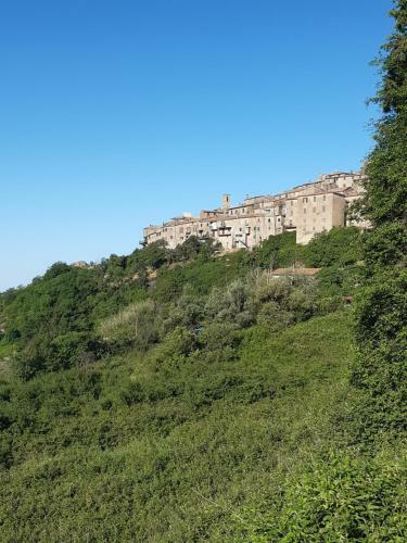 Apartamento Appartamento Nel Borgo