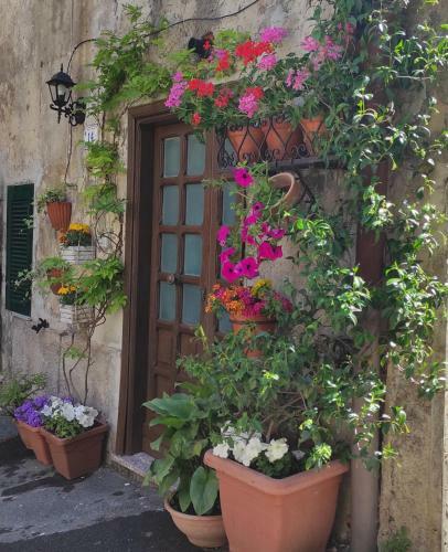 Apartamento Le Case Di Fe - Pagliari House