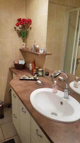 Apartamento 24 Rue St Exupery