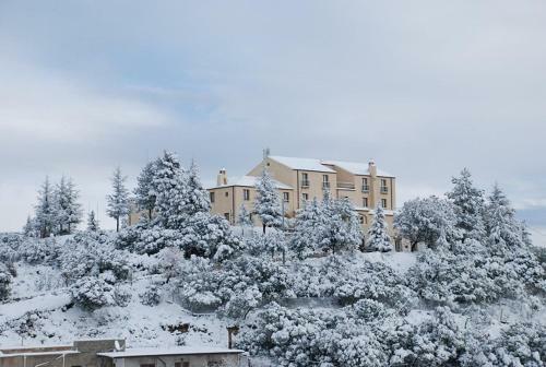 Hotel Silana