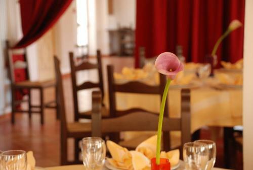 Hotel Silana